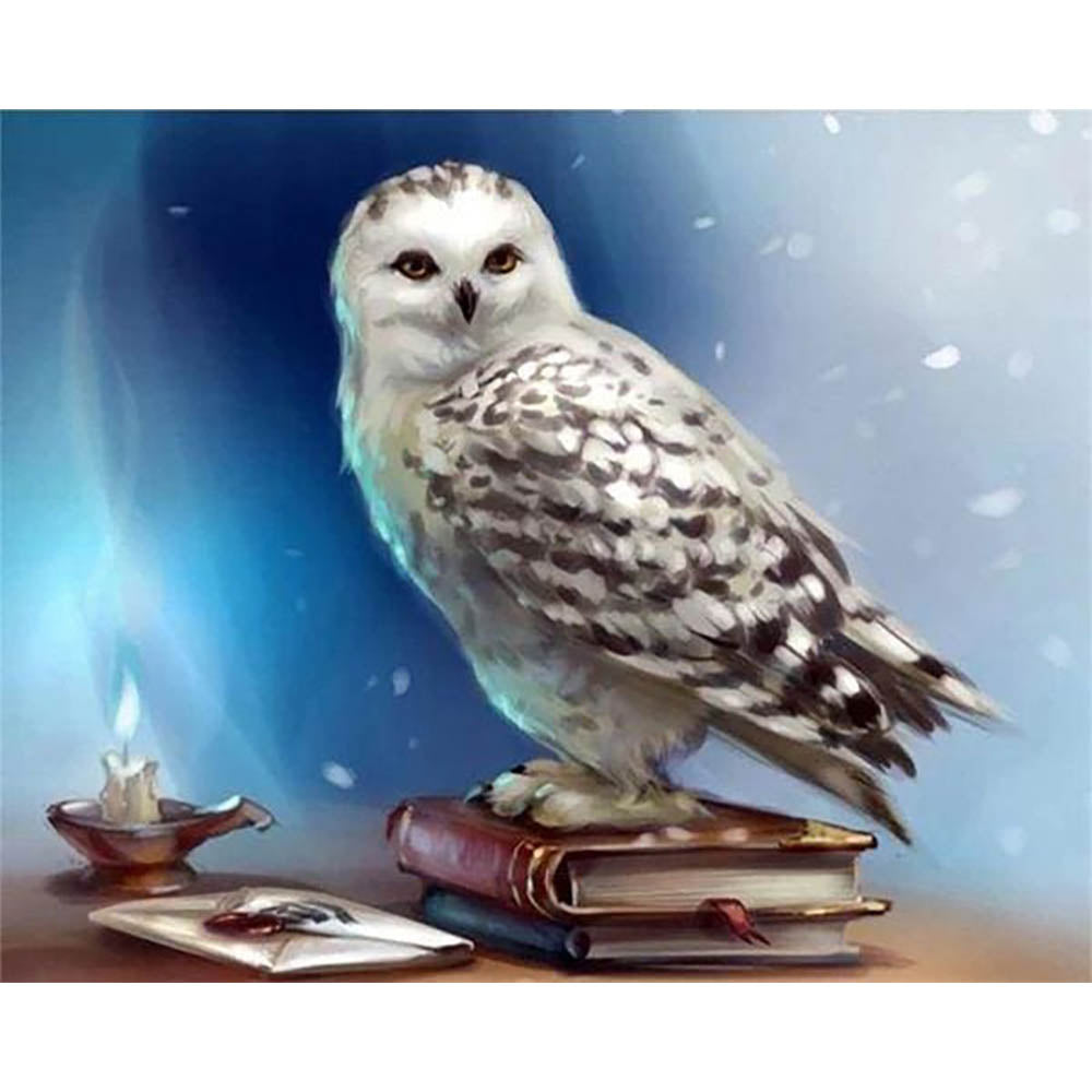 Diamond Painting - Owl and Book