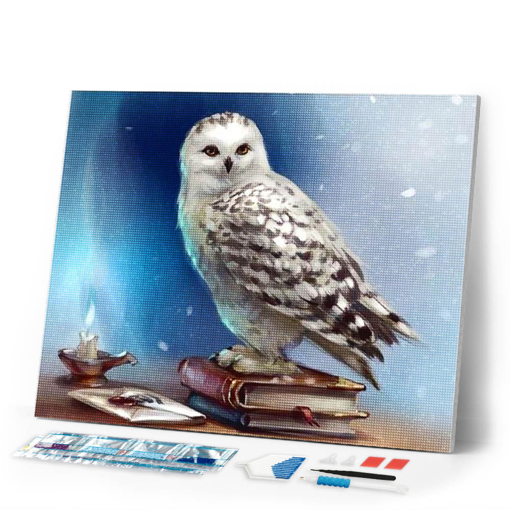 Diamond Painting | Diamond Painting - Owl and Book | animals Diamond Painting Animals owls | FiguredArt