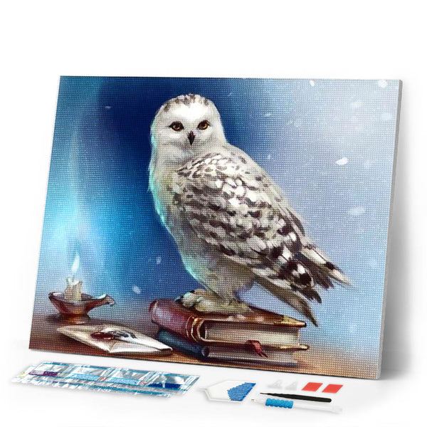 Diamond Painting | Diamond Painting - Owl and Book | animals Diamond Painting Animals owls | FiguredArt