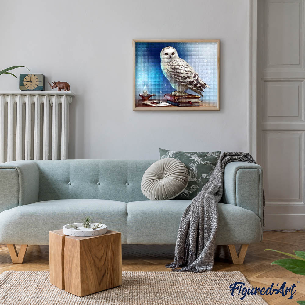 Diamond Painting - Owl and Book