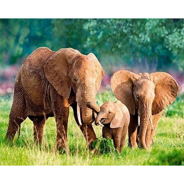 Diamond Painting - Elephants Family