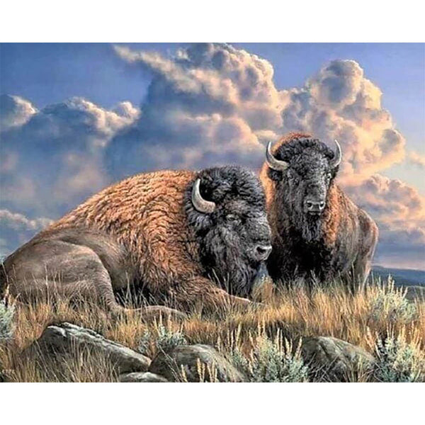 Diamond Painting - Bison