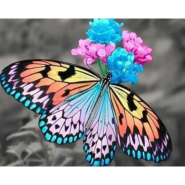 Diamond Painting - Butterfly gathering pollen