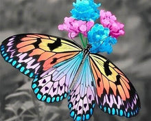 Load image into Gallery viewer, Diamond Painting | Diamond Painting - Butterfly gathering pollen | animals butterflies Diamond Painting Animals | FiguredArt