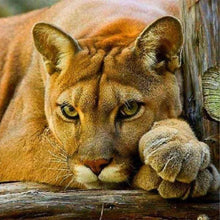 Load image into Gallery viewer, Diamond Painting | Diamond Painting - Lioness | animals Diamond Painting Animals lions | FiguredArt