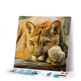 Diamond Painting | Diamond Painting - Lioness | animals Diamond Painting Animals lions | FiguredArt