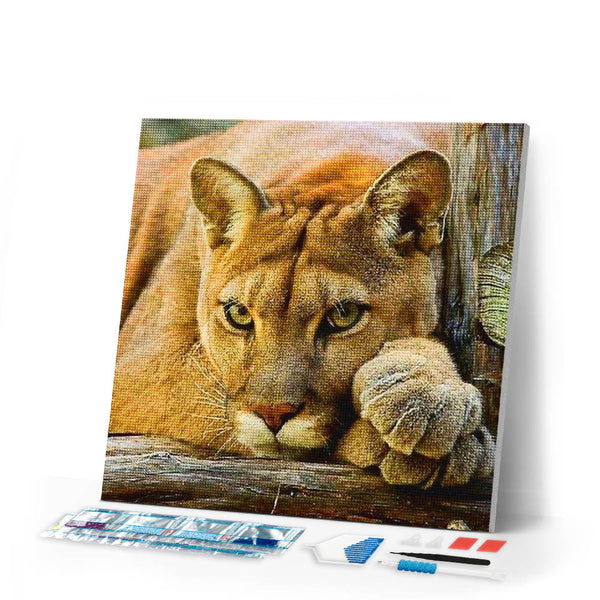 Diamond Painting | Diamond Painting - Lioness | animals Diamond Painting Animals lions | FiguredArt