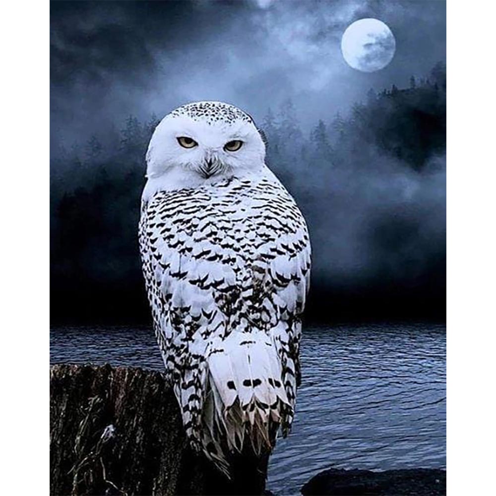 Diamond Painting - White Owl