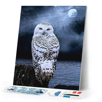 Diamond Painting | Diamond Painting - White Owl | animals Diamond Painting Animals owls | FiguredArt