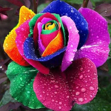 Load image into Gallery viewer, Diamond Painting - Big Flower Petal