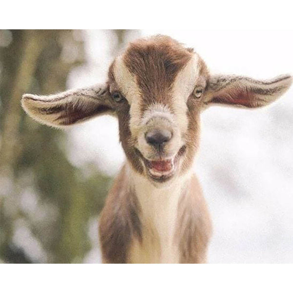 Diamond Painting - Little Sheep