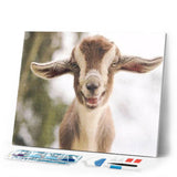 Diamond Painting | Diamond Painting - Little Sheep | animals Diamond Painting Animals | FiguredArt