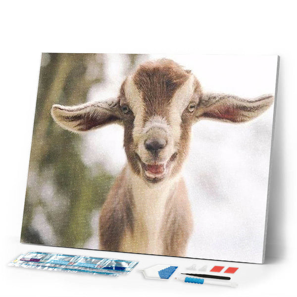 Diamond Painting | Diamond Painting - Little Sheep | animals Diamond Painting Animals | FiguredArt