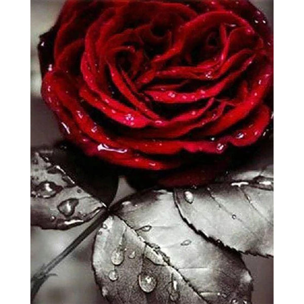 Diamond Painting - Red Rose