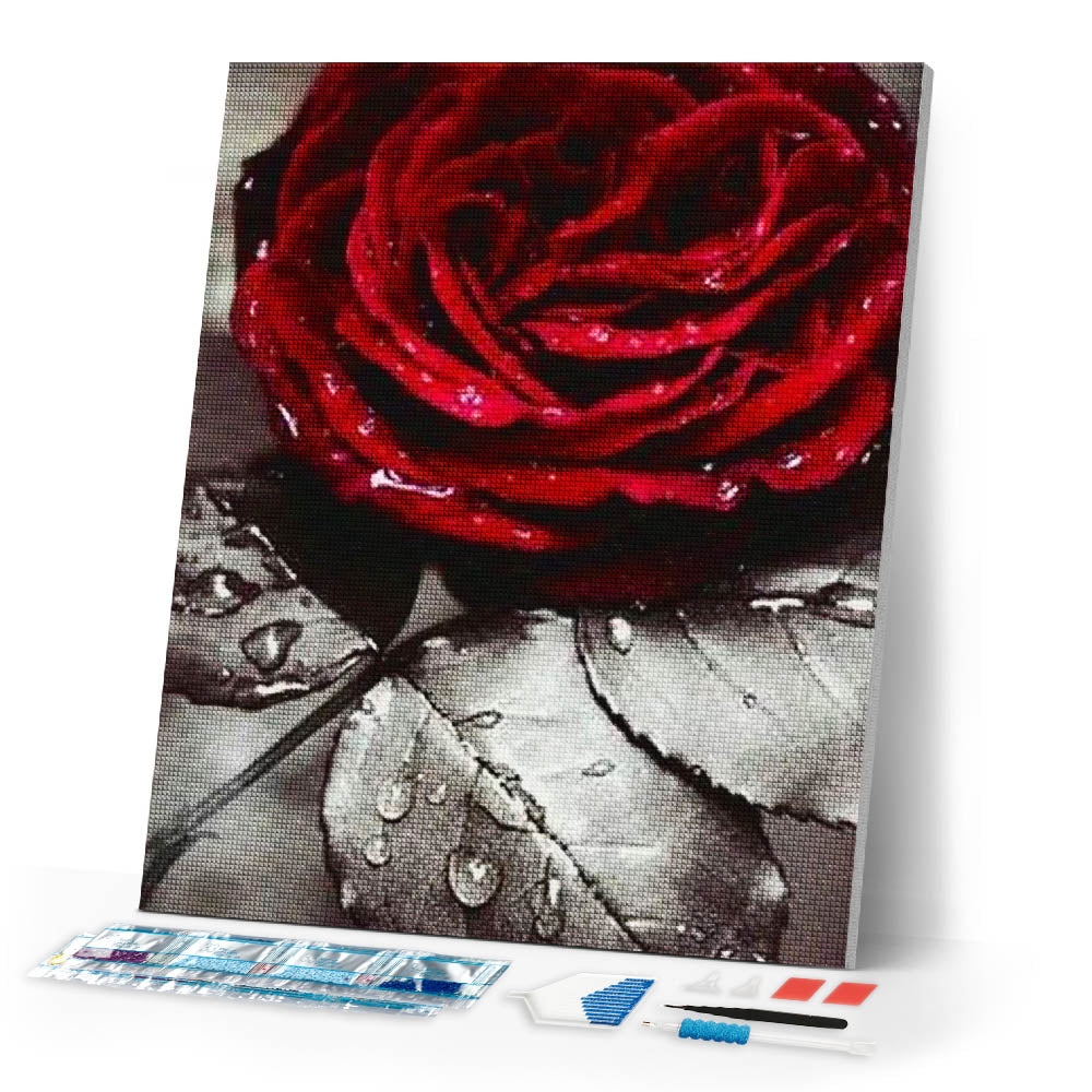 Diamond Painting | Diamond Painting - Red Rose | Diamond Painting Flowers flowers | FiguredArt