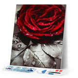 Diamond Painting | Diamond Painting - Red Rose | Diamond Painting Flowers flowers | FiguredArt
