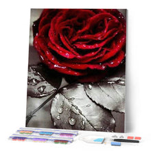 Load image into Gallery viewer, Diamond Painting - Red Rose