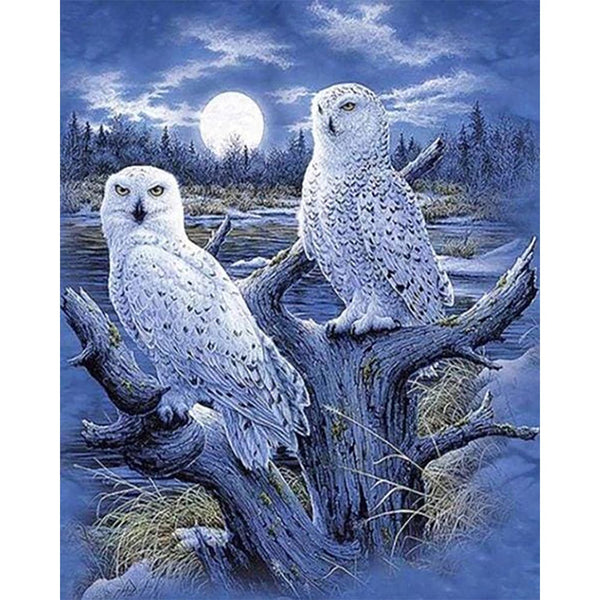 Diamond Painting - Owls and Moon