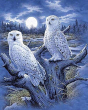 Load image into Gallery viewer, Diamond Painting | Diamond Painting - Owls and Moon | animals Diamond Painting Animals owls | FiguredArt