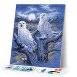 Diamond Painting | Diamond Painting - Owls and Moon | animals Diamond Painting Animals owls | FiguredArt