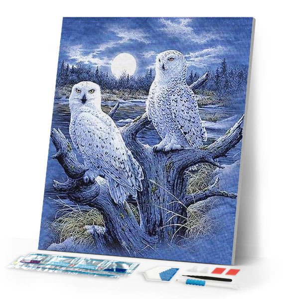 Diamond Painting | Diamond Painting - Owls and Moon | animals Diamond Painting Animals owls | FiguredArt