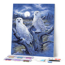 Load image into Gallery viewer, Diamond Painting - Owls and Moon