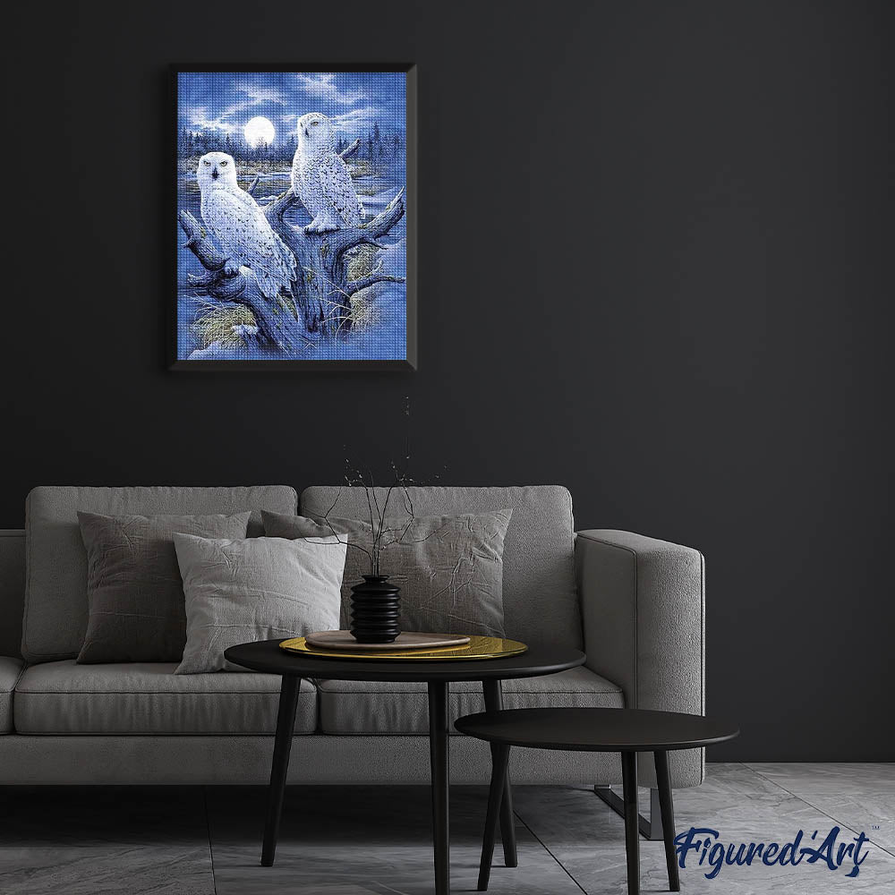 Diamond Painting - Owls and Moon