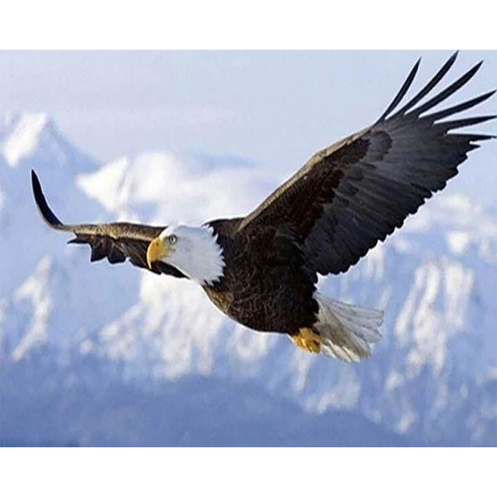 Diamond Painting - Eagle in Flight
