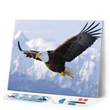 Diamond Painting | Diamond Painting - Eagle in Flight | animals Diamond Painting Animals eagles | FiguredArt