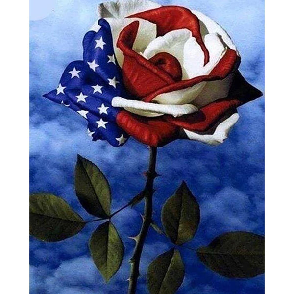 Diamond Painting - Pink American flag