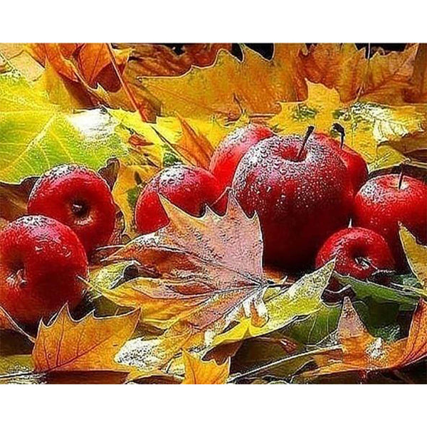 Diamond Painting - Apples in Autumn