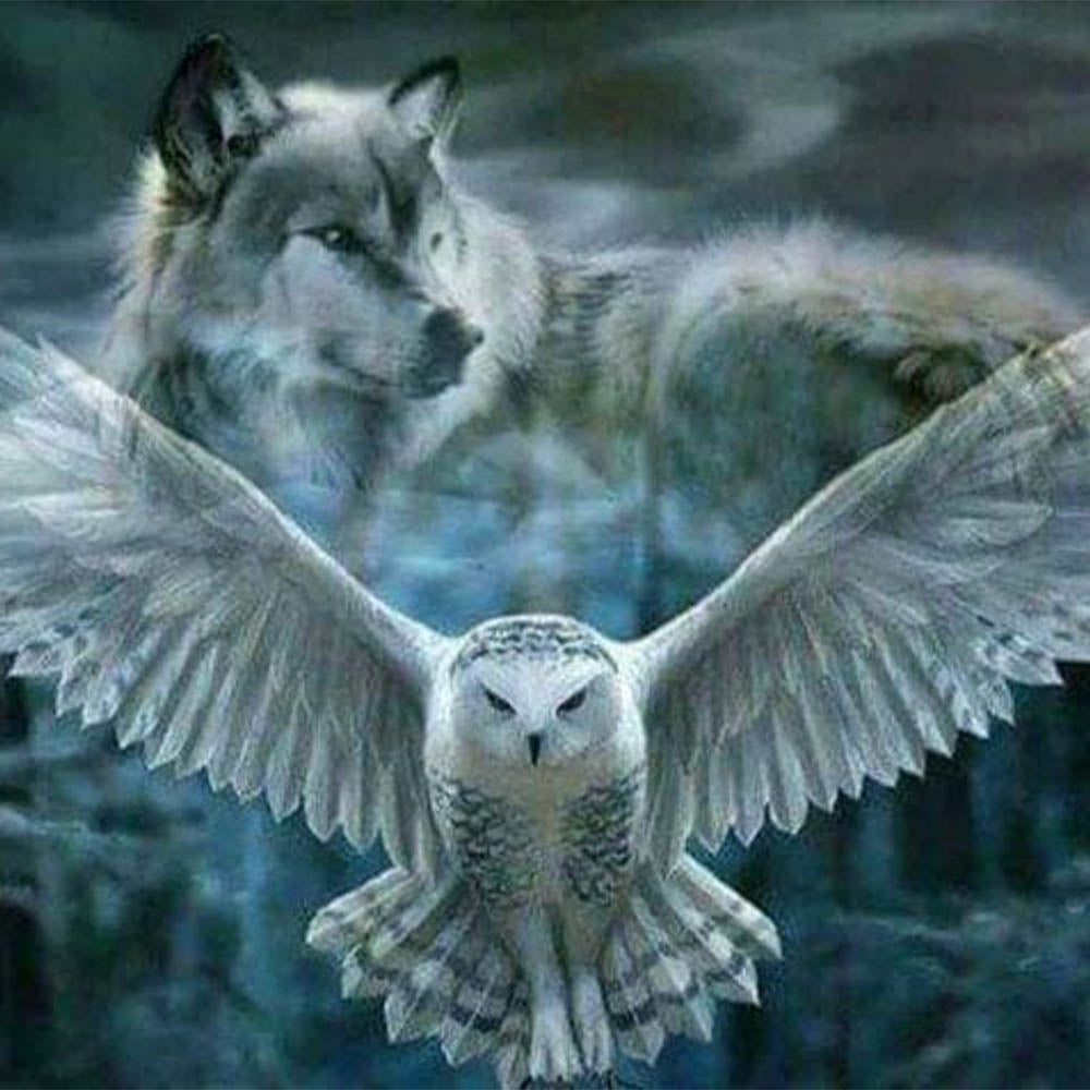 Diamond Painting - Gray Wolf and Owl
