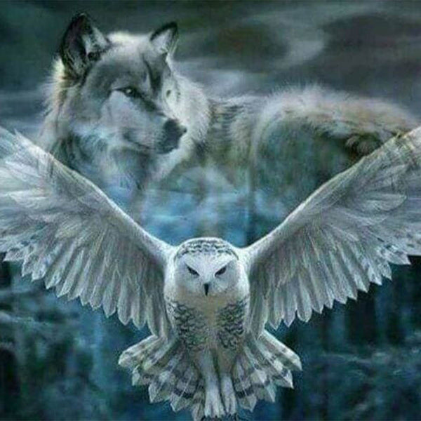 Diamond Painting - Gray Wolf and Owl