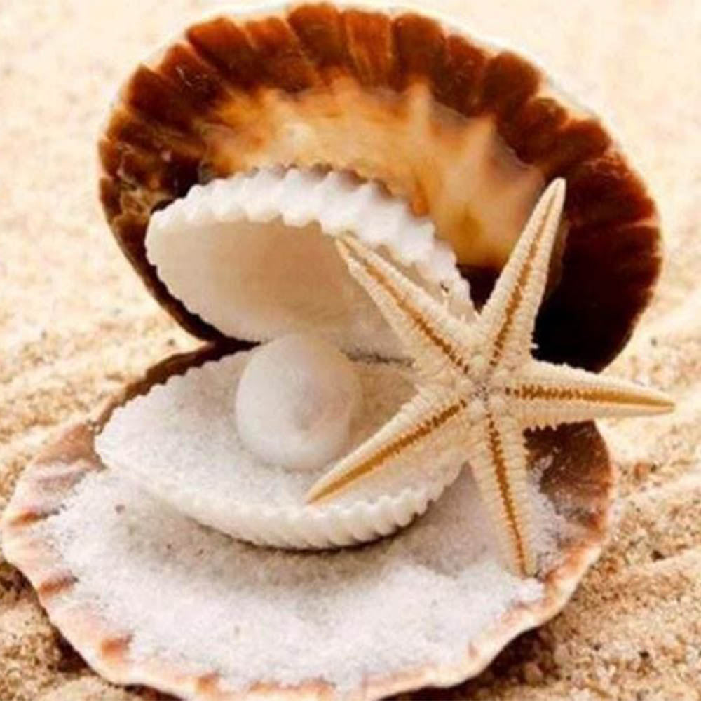 Diamond Painting - Starfish and Seashell