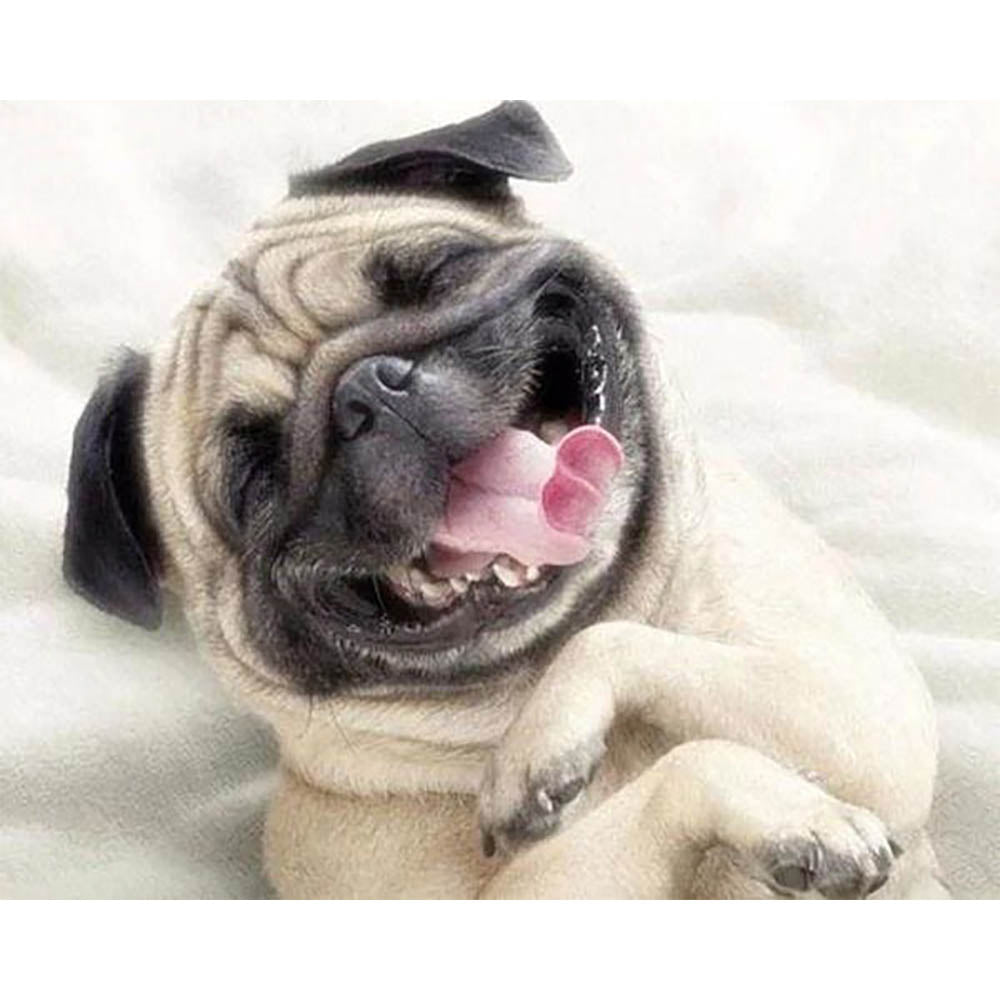 Diamond Painting - Sharpey asleep