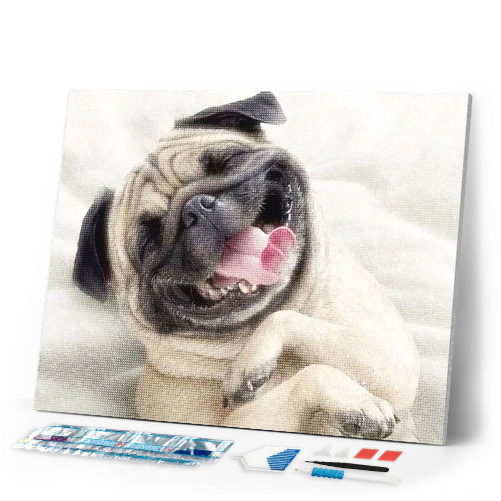 Diamond Painting | Diamond Painting - Sharpey asleep | animals Diamond Painting Animals | FiguredArt