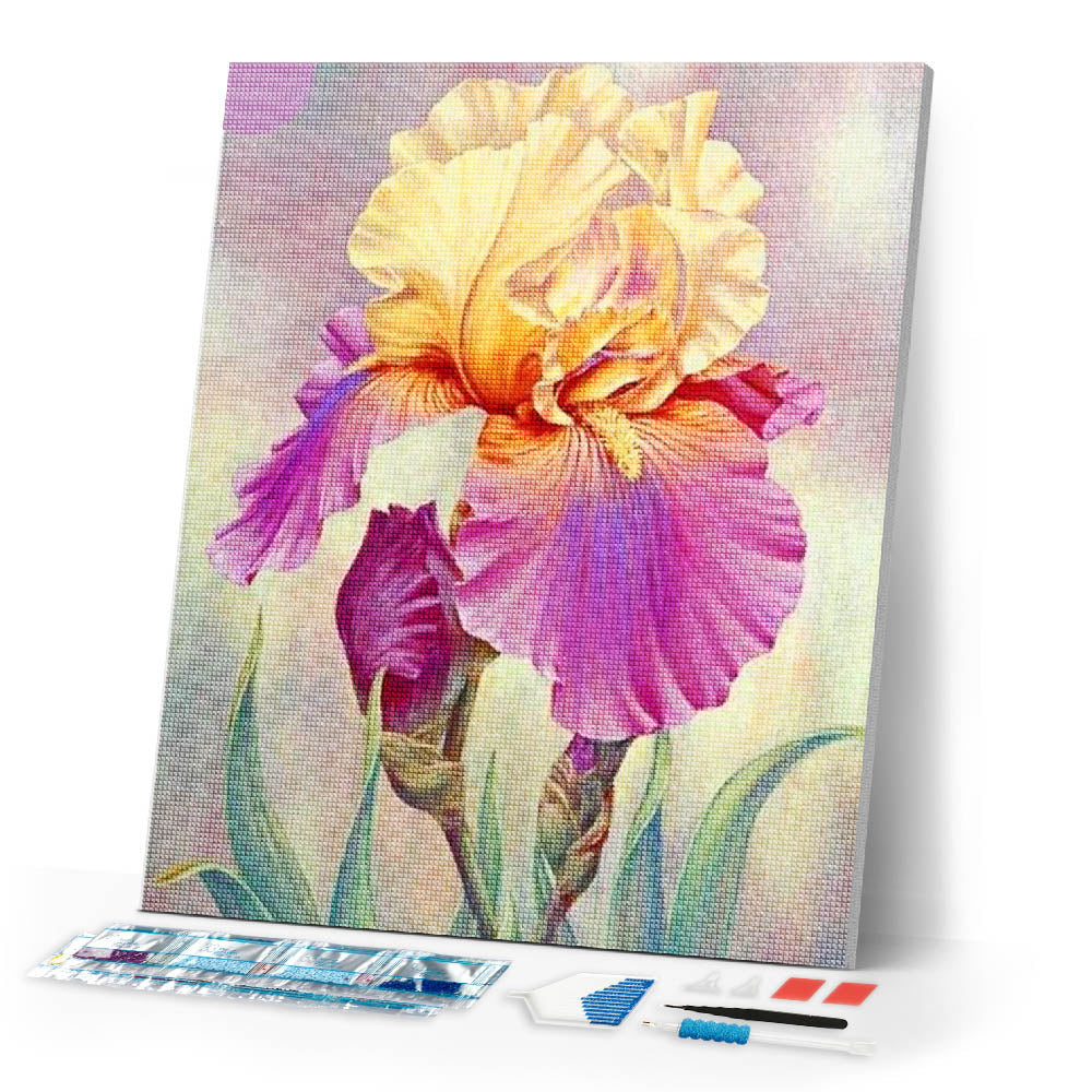 Diamond Painting | Diamond Painting - Iris bicolor | Diamond Painting Flowers flowers | FiguredArt