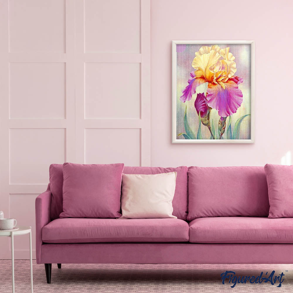 Diamond Painting - Iris bicolor