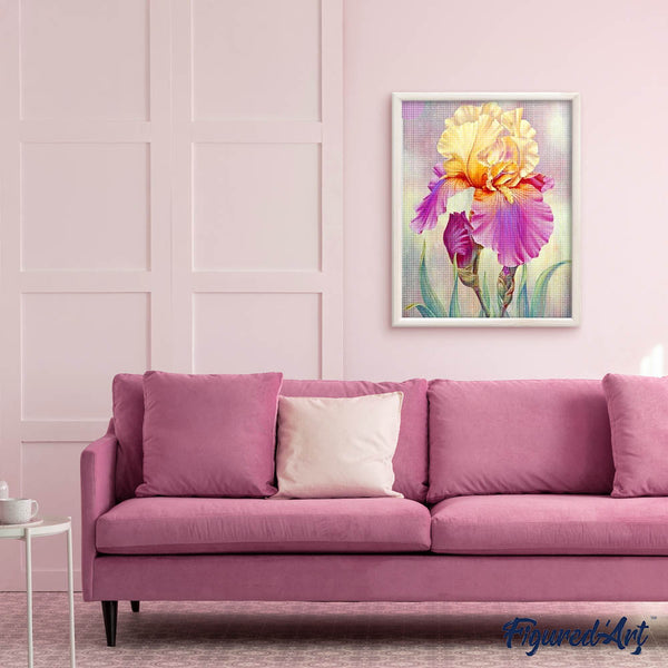 Diamond Painting - Iris bicolor