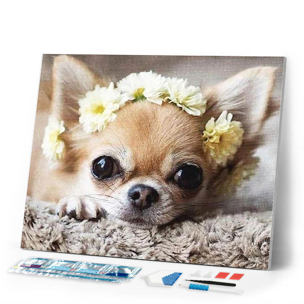 Diamond Painting | Diamond Painting - Small Dog and Flowers Wreath | animals Diamond Painting Animals dogs flowers | FiguredArt