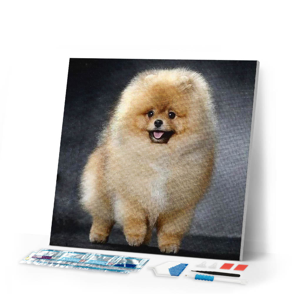 Diamond Painting | Diamond Painting - Chow Chow | animals Diamond Painting Animals | FiguredArt