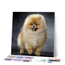 Load image into Gallery viewer, Diamond Painting - Chow Chow