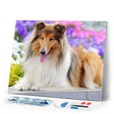 Diamond Painting | Diamond Painting - Collie | animals Diamond Painting Animals | FiguredArt