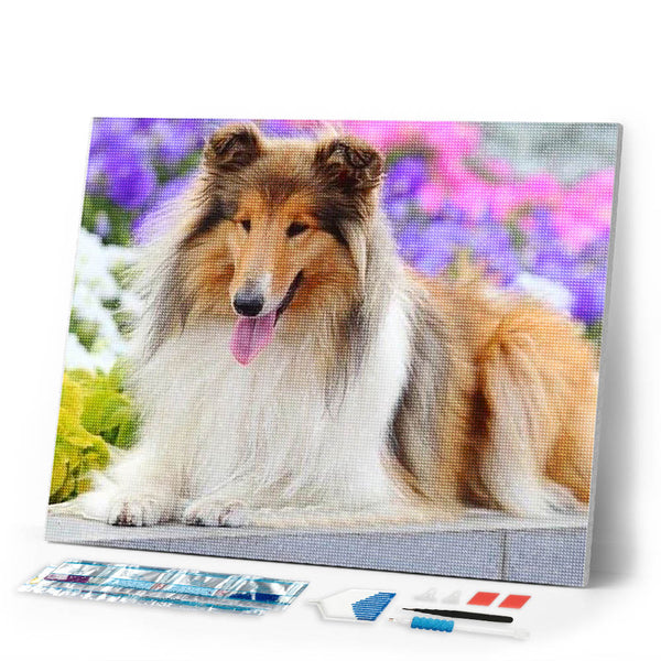 Diamond Painting | Diamond Painting - Collie | animals Diamond Painting Animals | FiguredArt