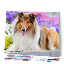 Load image into Gallery viewer, Diamond Painting - Collie