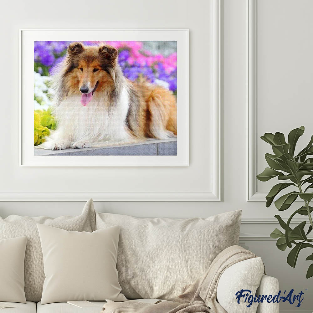 Diamond Painting - Collie