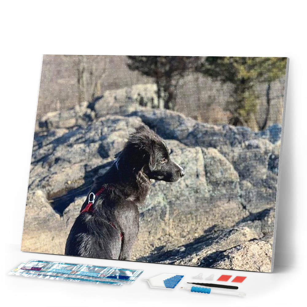 Diamond Painting | Diamond Painting - Rock and Dog | animals Diamond Painting Animals dogs | FiguredArt