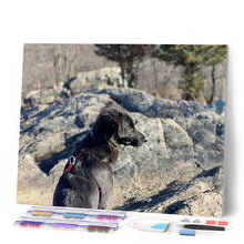 Load image into Gallery viewer, Diamond Painting - Rock and Dog