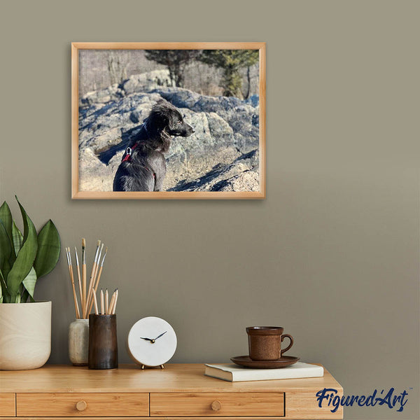 Diamond Painting - Rock and Dog