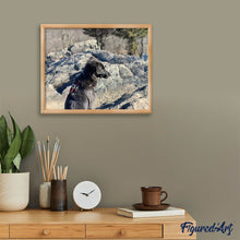Load image into Gallery viewer, Diamond Painting - Rock and Dog